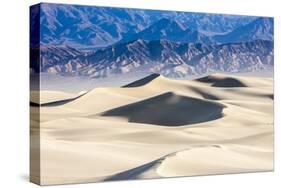 Mesquite Sand Dunes. Grapevine Mountains. Death Valley, California.-Tom Norring-Stretched Canvas