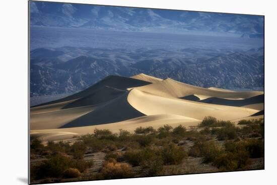 Mesquite Sand Dunes with Grapevine Mountains. Death Valley. California.-Tom Norring-Mounted Photographic Print