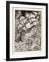 Message Found in a Bottle, Ship in a Storm-Arthur Rackham-Framed Art Print