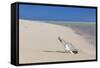 Message in a Bottle at the Beach of Risco Del Paso-Markus Lange-Framed Stretched Canvas