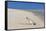 Message in a Bottle at the Beach of Risco Del Paso-Markus Lange-Framed Stretched Canvas