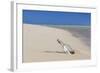 Message in a Bottle at the Beach of Risco Del Paso-Markus Lange-Framed Photographic Print