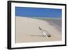 Message in a Bottle at the Beach of Risco Del Paso-Markus Lange-Framed Photographic Print