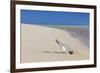 Message in a Bottle at the Beach of Risco Del Paso-Markus Lange-Framed Photographic Print
