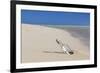 Message in a Bottle at the Beach of Risco Del Paso-Markus Lange-Framed Photographic Print