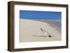 Message in a Bottle at the Beach of Risco Del Paso-Markus Lange-Framed Photographic Print