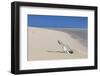 Message in a Bottle at the Beach of Risco Del Paso-Markus Lange-Framed Photographic Print