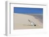 Message in a Bottle at the Beach of Risco Del Paso-Markus Lange-Framed Photographic Print