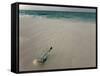 Message in a Bottle on a Tropical Beach, Kuramathi Island, Ari Atoll, Maldives, Indian Ocean, Asia-Angelo Cavalli-Framed Stretched Canvas