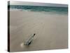 Message in a Bottle on a Tropical Beach, Kuramathi Island, Ari Atoll, Maldives, Indian Ocean, Asia-Angelo Cavalli-Stretched Canvas