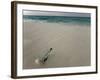 Message in a Bottle on a Tropical Beach, Kuramathi Island, Ari Atoll, Maldives, Indian Ocean, Asia-Angelo Cavalli-Framed Photographic Print