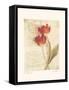 Messages I-Amy Melious-Framed Stretched Canvas