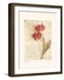 Messages I-Amy Melious-Framed Art Print