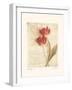 Messages I-Amy Melious-Framed Art Print