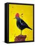 Messenger Bird No. 3-Robert Filiuta-Framed Stretched Canvas
