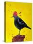 Messenger Bird No. 3-Robert Filiuta-Stretched Canvas
