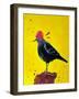 Messenger Bird No. 3-Robert Filiuta-Framed Art Print