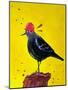 Messenger Bird No. 3-Robert Filiuta-Mounted Art Print