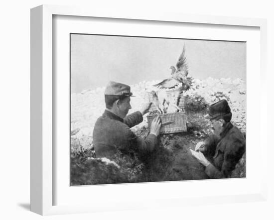 Messenger Pigeons Being Released at the Front Line, World War I, 1915-null-Framed Giclee Print