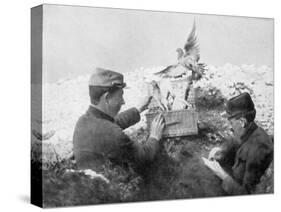 Messenger Pigeons Being Released at the Front Line, World War I, 1915-null-Stretched Canvas