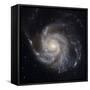 Messier 101, the Pinwheel Galaxy-Stocktrek Images-Framed Stretched Canvas