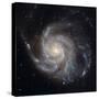 Messier 101, the Pinwheel Galaxy-Stocktrek Images-Stretched Canvas