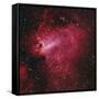 Messier 17, the Swan Nebula in Sagittarius-null-Framed Stretched Canvas