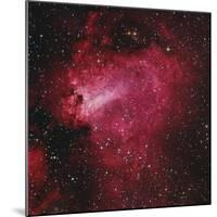Messier 17, the Swan Nebula in Sagittarius-null-Mounted Photographic Print