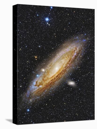 Messier 31, the Andromeda Galaxy-null-Stretched Canvas