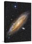 Messier 31, the Andromeda Galaxy-null-Stretched Canvas