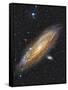 Messier 31, the Andromeda Galaxy-null-Framed Stretched Canvas