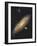 Messier 31, the Andromeda Galaxy-null-Framed Premium Photographic Print