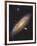 Messier 31, the Andromeda Galaxy-null-Framed Photographic Print