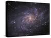 Messier 33, Spiral Galaxy in Triangulum-Stocktrek Images-Stretched Canvas