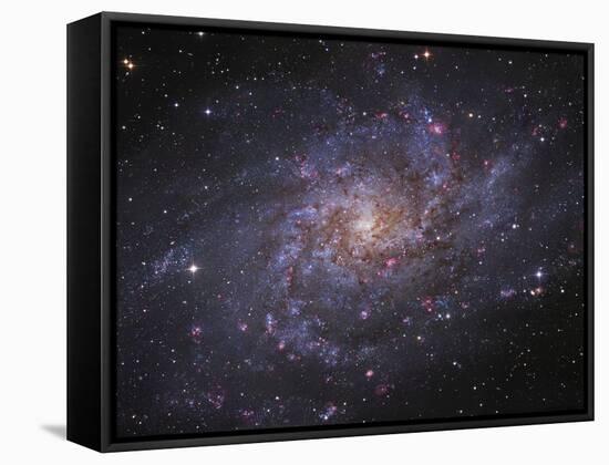 Messier 33, Spiral Galaxy in Triangulum-Stocktrek Images-Framed Stretched Canvas