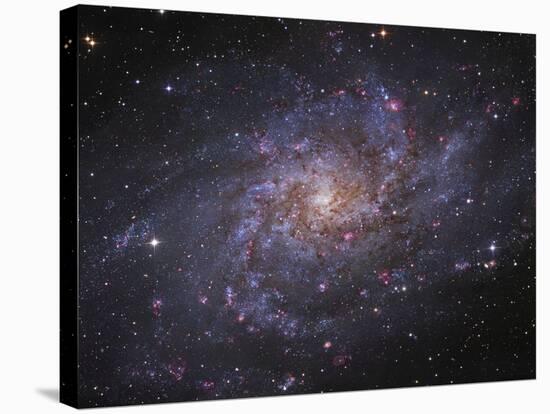 Messier 33, Spiral Galaxy in Triangulum-Stocktrek Images-Stretched Canvas