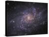 Messier 33, Spiral Galaxy in Triangulum-Stocktrek Images-Stretched Canvas