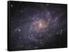 Messier 33, Spiral Galaxy in Triangulum-Stocktrek Images-Framed Stretched Canvas