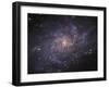 Messier 33, Spiral Galaxy in Triangulum-Stocktrek Images-Framed Premium Photographic Print