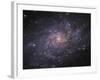 Messier 33, Spiral Galaxy in Triangulum-Stocktrek Images-Framed Photographic Print