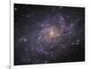 Messier 33, Spiral Galaxy in Triangulum-Stocktrek Images-Framed Photographic Print