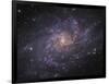 Messier 33, Spiral Galaxy in Triangulum-Stocktrek Images-Framed Photographic Print