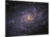 Messier 33, Spiral Galaxy in Triangulum-Stocktrek Images-Stretched Canvas