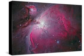 Messier 42, the Orion Nebula-null-Stretched Canvas