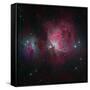 Messier 42, the Orion Nebula-null-Framed Stretched Canvas