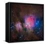 Messier 42, the Orion Nebula-null-Framed Stretched Canvas