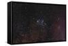 Messier 6, the Butterfly Cluster-null-Framed Stretched Canvas