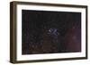 Messier 6, the Butterfly Cluster-null-Framed Photographic Print