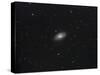 Messier 64, the Black Eye Galaxy-null-Stretched Canvas