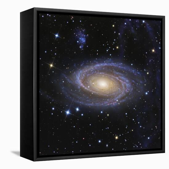 Messier 81, or Bode's Galaxy, is a Spiral Galaxy Located in the Constellation Ursa Major-null-Framed Stretched Canvas